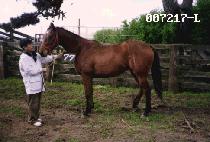 ȭ���� (FIGHTING) ����