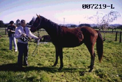 û���� ����