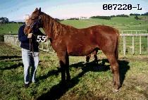 ���Ͻô� (TONG IL SI DAE) ����