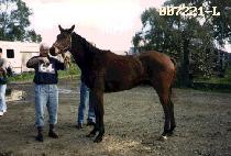 ��Ÿī (ITHACA) ����