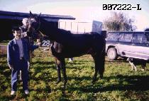 ��Ʈ (CULT) ����