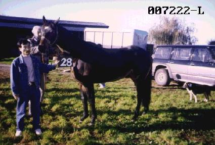 ��Ʈ ����