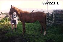 ū��� (KEUN SARANG) ����