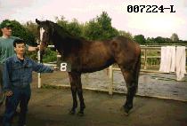 ������ (SAN JI CHON) ����