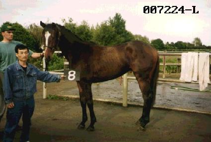 ������ ����