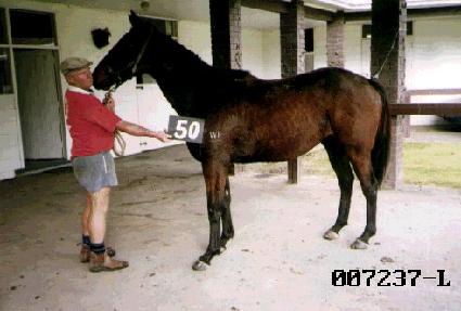 ����Ÿ�̰� ����