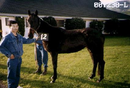 �������ȭ ����