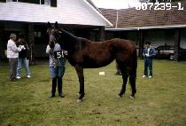 ���� (DO HYEON) ����