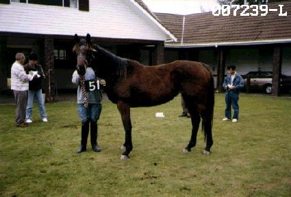 ���� ����