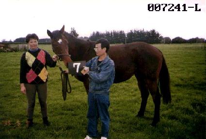 ���� ����