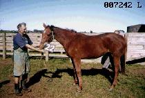 ����ȣ (DAE JANG HO) ����