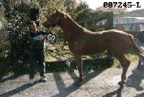 ��ǳ���� (MYUNGPOONG GAEBYUK) ����