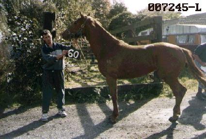 ��ǳ���� ����