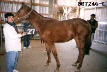 ���� (YU NEUNG) ����