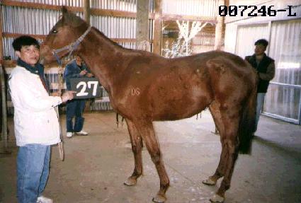 ���� ����