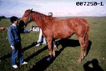 �¹鼺 (TAE BAEK SEONG) ����