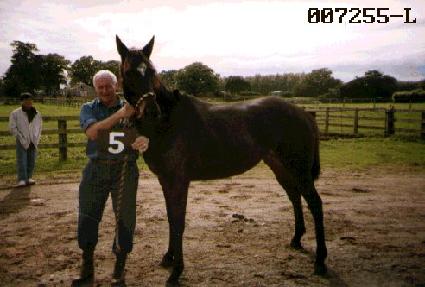 ����ƮŰ ����