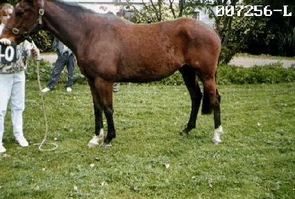 ����Ʈ ����