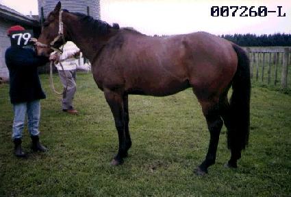 ���̽��� ����