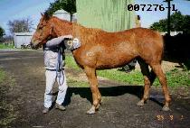 ž�� (TAPSEONG) ����