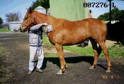 ž�� ����