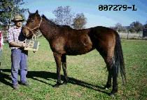 �º� (MATBOOL) ����