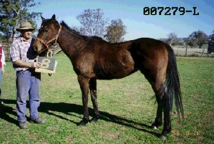 �º� ����