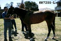 �缱 (DANGSEON) ����