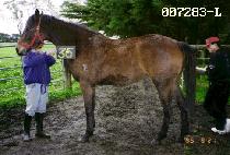 ��� (HEUKDAN) ����