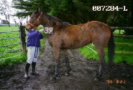 ���ϼ� ����