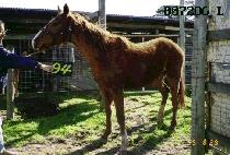 �츮���� (WURI SEOUL) ����