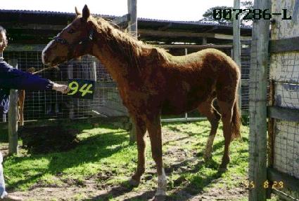 �츮���� ����