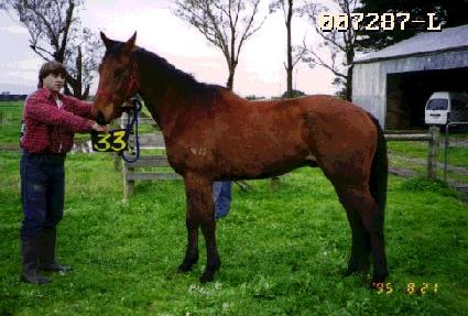 ���� ����