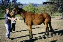 Ư�� (TEUKGONG) ����