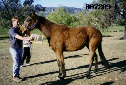 Ư�� ����