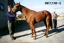 �������� (NAMBOOK TONG IL) ����