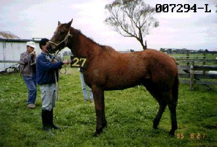 ���Ϻ� ����