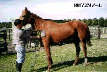 ��ϼ� (SANGROKSU) ����