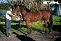 ������ (VANCOUVER) ����