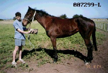 �Ѵ��� ����