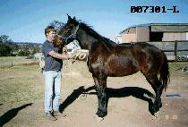 Ÿ��Ǭ (TYPHOON) ����