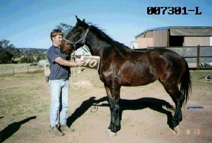 Ÿ��Ǭ ����