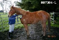 �������� (BYEOLBIT BORA) ����