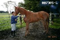 ���Ѻ� (SAEHANBYEOL) ����