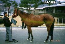 õ�տ︲ (CHEONDOONG WOOLIM) ����