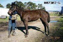 ��ǳ�Ǵ� (TAEPOONG EUI NOON) ����