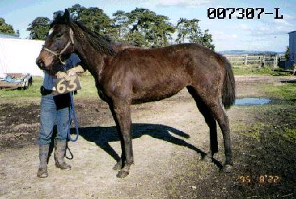 ��ǳ�Ǵ� ����