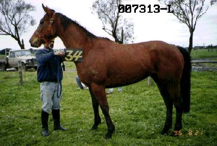 ��ũ�� ����