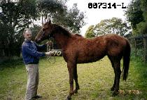 ������ (SEONGMOONSAN) ����