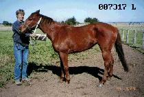 ��ұ� (DAEBOOLGWANG) ����